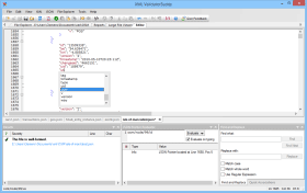 Screenshot of JSON editing in XML ValidatorBuddy